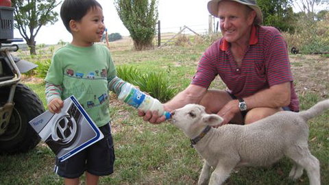 Bellevue Farmstay - Accommodation Burleigh 1