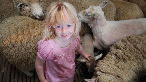 Bellevue Farmstay - Accommodation Burleigh 4