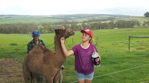 Bellevue Farmstay - Accommodation Burleigh 8