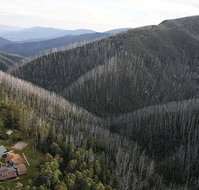 Howmans Gap Alpine Centre YMCA - Accommodation Burleigh