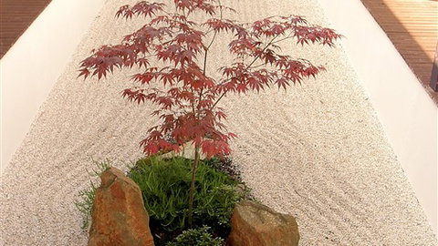 Shizuka Ryokan Japanese Country Spa & Wellness Retreat - Accommodation Burleigh 6