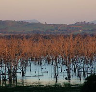 Salisbury - Accommodation Burleigh