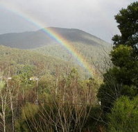 Wattletree Cottage - Accommodation Burleigh