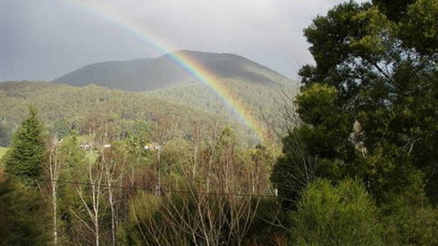 Wattletree Cottage - Accommodation Burleigh 0