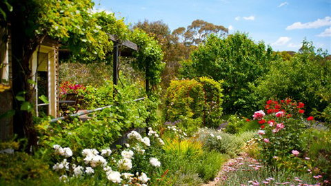 Kookaburra Ridge - Accommodation Burleigh 3