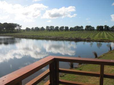 Bettenay's Lakeside Loft Spa Apartment - Accommodation Burleigh 1