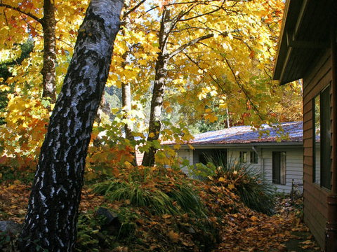 Bogong Village - Accommodation Burleigh 0