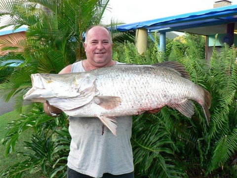 Conway Beach Tourist Park Whitsunday - Accommodation Burleigh 4