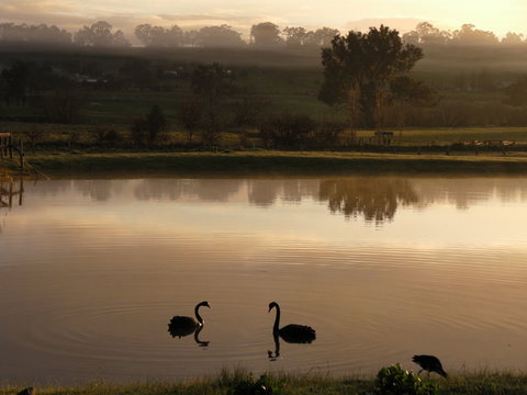 Mansfield Holiday Park - Accommodation Burleigh 2