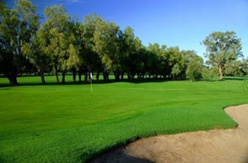 Golf Links Motel - Accommodation Burleigh 1