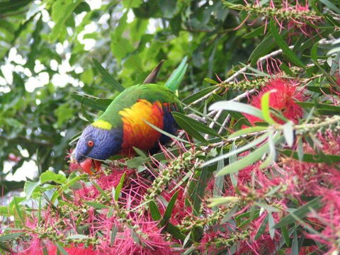Lakesea Park - Accommodation Burleigh 1