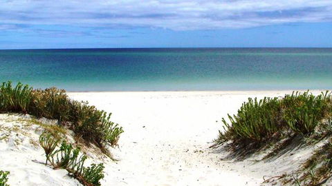 Boomeri Campground - Accommodation Burleigh 1