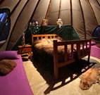 Aranyani Bison Adventure Tourist Park - Accommodation Burleigh