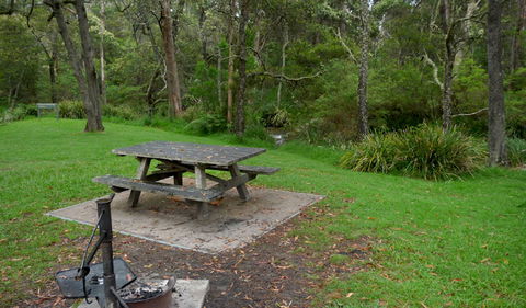 Chaelundi Campground - Accommodation Burleigh 0