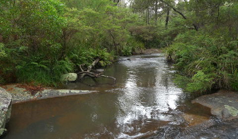Chaelundi Campground - Accommodation Burleigh 1
