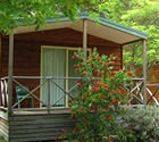 Wombeyan Caves Caravan & Camping Reserve - Accommodation Burleigh 1
