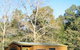 Wombeyan Caves Caravan & Camping Reserve - thumb 2