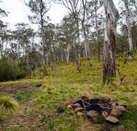 Gummi Falls campground - Accommodation Burleigh