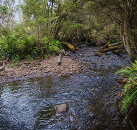 Horse Swamp campground - Accommodation Burleigh