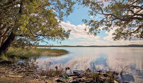 Johnsons Beach Campground - Accommodation Burleigh 1