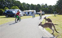 Murramarang Beachfront Nature Resort - Accommodation Burleigh 4