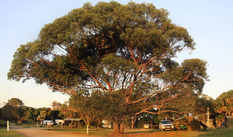 The Ruins Campground And Picnic Area - Accommodation Burleigh 1