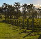 H Boutique Hotel - Pokolbin - Accommodation Burleigh