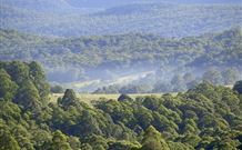Nowendoc NSW Accommodation Burleigh
