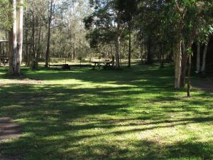 Jervis Bay Cabins And Hidden Creek Real Camping - Accommodation Burleigh 5