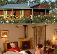 Twin Trees Country Cottages - Accommodation Burleigh