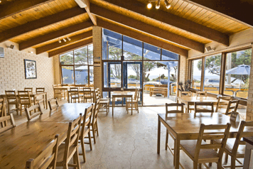 Surf City Motel - Accommodation Burleigh 5