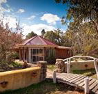 Starline Alpaca Farm Stay - Accommodation Burleigh