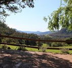 Cedar Grove - - Accommodation Burleigh