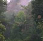 Havans Ecotourist Retreat - - Accommodation Burleigh