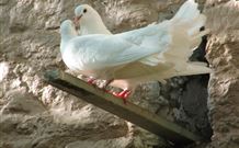 Kerrowgair Bed And Breakfast - Accommodation Burleigh 1