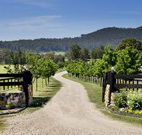 Pemberley Grange Hunter Valley Getaway - Accommodation Burleigh