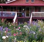 Rose Patch Bed and Breakfast - Accommodation Burleigh