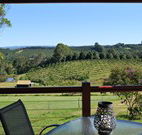 The Shed B and B - Accommodation Burleigh