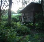 Mount Seaview Resort - Accommodation Burleigh