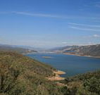 Calurla Chalets and Cottages - Accommodation Burleigh