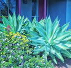 Retreat Homestead - Accommodation Burleigh