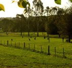 Stone Cottage Mittagong - Accommodation Burleigh