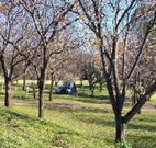 Worrowing Boat Shed - Accommodation Burleigh