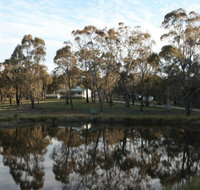 Greysen Farmstay - Accommodation Burleigh