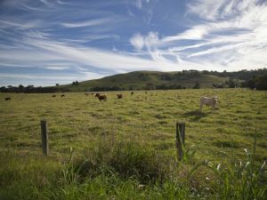 Goolmangar NSW Accommodation Burleigh