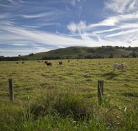Annas Retreat - Accommodation Burleigh