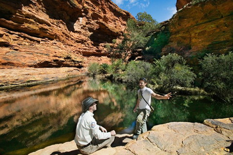 Kings Canyon Holiday Park - Accommodation Burleigh 8