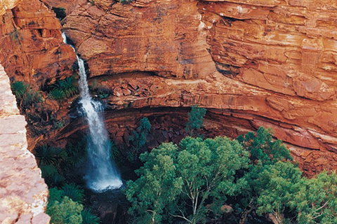 Kings Canyon Holiday Park - Accommodation Burleigh 9