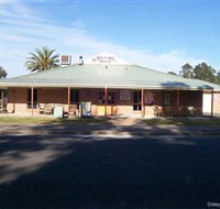 Dog N Bull - Accommodation Burleigh