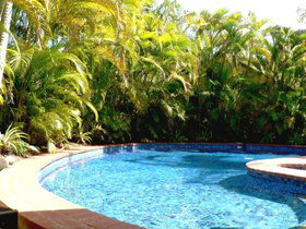 At The Mango Tree - Accommodation Burleigh 1